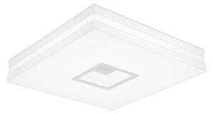 Moderné stropné / nástenné LED osvetlenie PETY, 100W, teplá biela, 80x