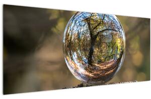 Obraz - Odraz v sklenenej guli (120x50 cm)