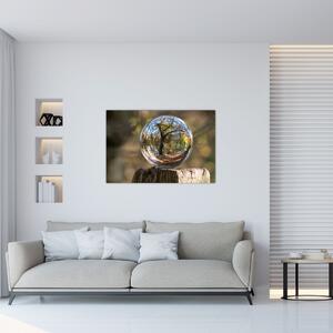 Obraz - Odraz v sklenenej guli (90x60 cm)