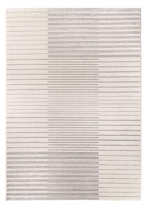 Svetlosivý koberec 80x150 cm Optica – Selection