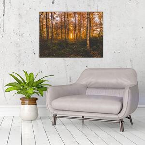 Obraz jesenného lesa (70x50 cm)