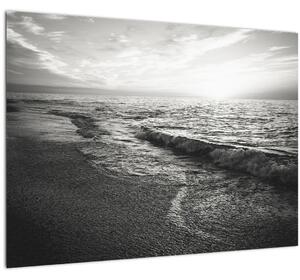 Obraz - Na brehu mora (70x50 cm)