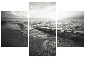 Obraz - Na brehu mora (90x60 cm)