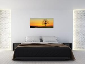Obraz stromu na poli (120x50 cm)
