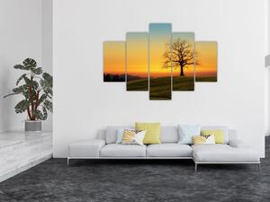 Obraz stromu na poli (150x105 cm)