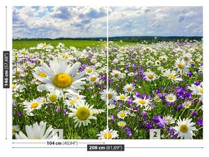 Fototapeta Vliesová Lúky a kvety 208x146 cm