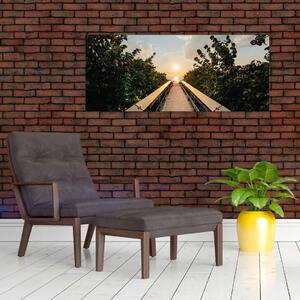 Obraz - cesta k slnku (120x50 cm)