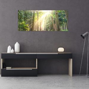 Obraz cestičky v lese (120x50 cm)