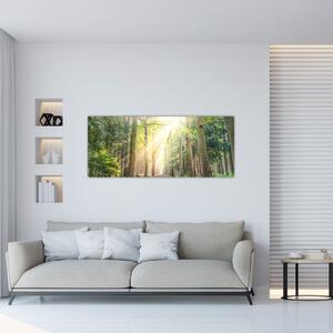 Obraz cestičky v lese (120x50 cm)