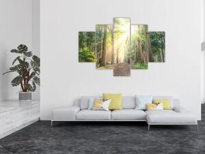 Obraz cestičky v lese (150x105 cm)