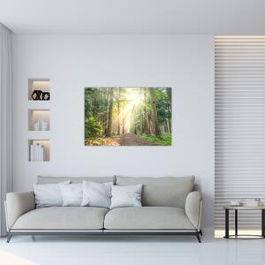 Obraz cestičky v lese (90x60 cm)