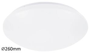 Stropné LED osvetlenie LUCAS, 12 W, denná biela, 26 cm, okrúhle