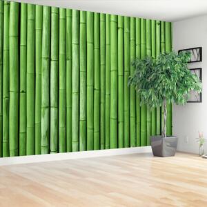 Fototapeta Vliesová Bambusová zelená 416x254 cm
