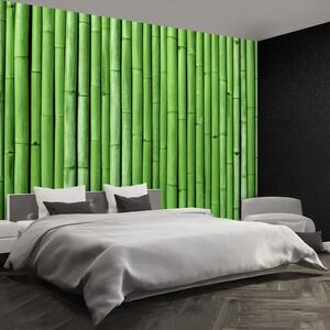 Fototapeta Vliesová Bambusová zelená 208x146 cm