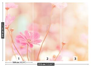 Fototapeta Vliesová Ružové kvety kozmu 312x219 cm