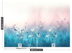 Fototapeta Vliesová Biele kvety 208x146 cm