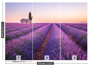 Fototapeta Vliesová Provence levandule 312x219 cm