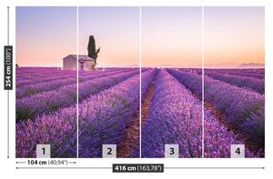 Fototapeta Vliesová Provence levandule 416x254 cm