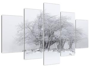 Obraz - Biela zima (150x105 cm)