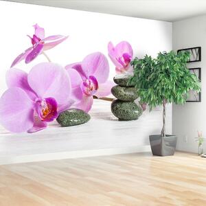 Fototapeta Vliesová Kúpele orchidea 312x219 cm