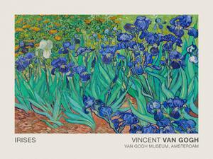 Obrazová reprodukcia Irises (Museum Vintage Floral / Flower Landscape) - Vincent van Gogh, (40 x 30 cm)