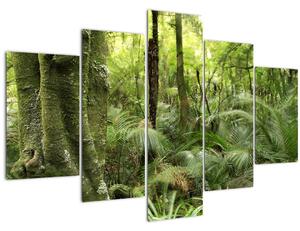 Obraz Tropický dažďový prales (150x105 cm)