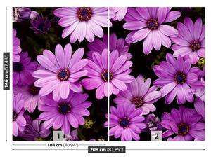 Fototapeta Vliesová Fialové kvety 208x146 cm