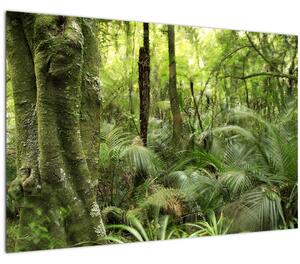 Obraz Tropický dažďový prales (90x60 cm)