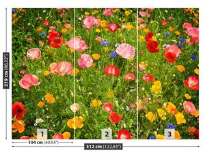 Fototapeta Vliesová Lúčne kvety 312x219 cm