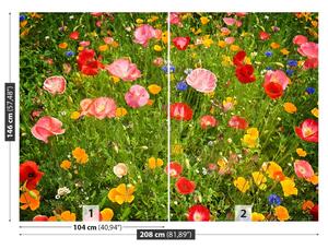 Fototapeta Vliesová Lúčne kvety 208x146 cm