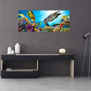 Obraz koralového útesu (120x50 cm)