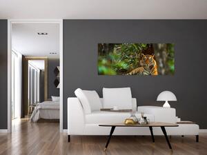Obraz odpočívajúceho tigra (120x50 cm)