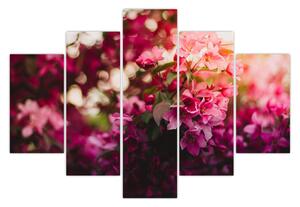 Obraz kvetov rozkvitnutého kríku (150x105 cm)