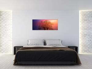 Obraz stromov v hmle (120x50 cm)