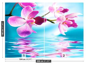 Fototapeta Vliesová Voda orchidea 208x146 cm
