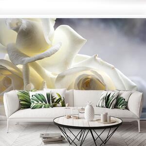 Fototapeta Vliesová Biele ruže 104x70 cm