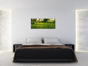 Obraz prírody - lúka (120x50 cm)