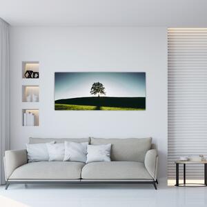 Obraz prírody - strom (120x50 cm)