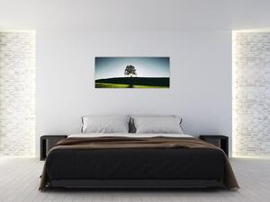 Obraz prírody - strom (120x50 cm)