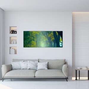 Obraz cesty lemovanej stromami (120x50 cm)