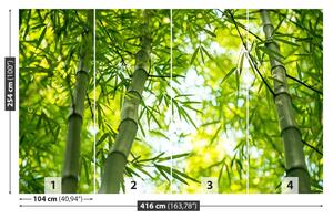 Fototapeta Vliesová Bambusové vetvy 416x254 cm