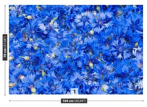 Fototapeta Vliesová Modré nevädze 104x70 cm