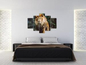 Obraz leva v prírode (150x105 cm)