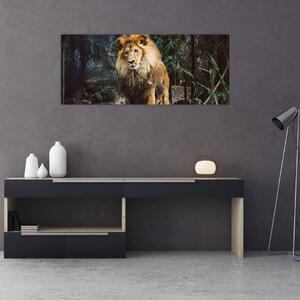 Obraz leva v prírode (120x50 cm)