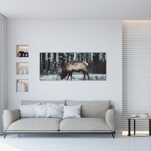 Obraz - jeleň v zime (120x50 cm)