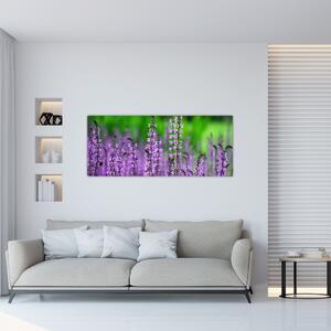 Obraz fialových lúčnych kvetov (120x50 cm)