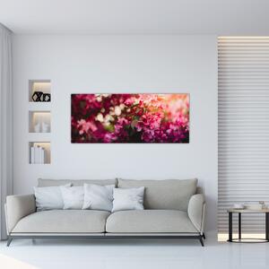 Obraz kvetov rozkvitnutého kríku (120x50 cm)