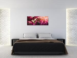 Obraz kvetov rozkvitnutého kríku (120x50 cm)