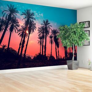 Fototapeta Vliesová Tropické palmy 416x254 cm