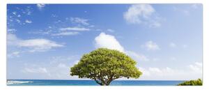 Obraz pláže so stromom (120x50 cm)
